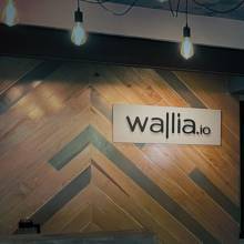 Presentación de Servicios WALLIA