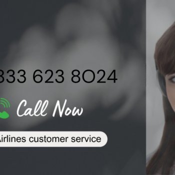 Full List Of Jetblue Customer® USA Contact Numbers US